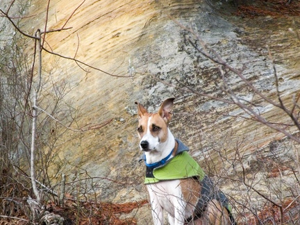 Sheltowee Trace